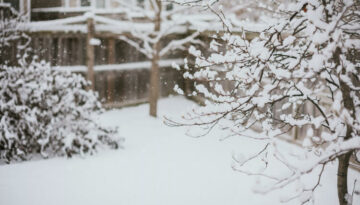 5 ways to Extend Your Backyard Season