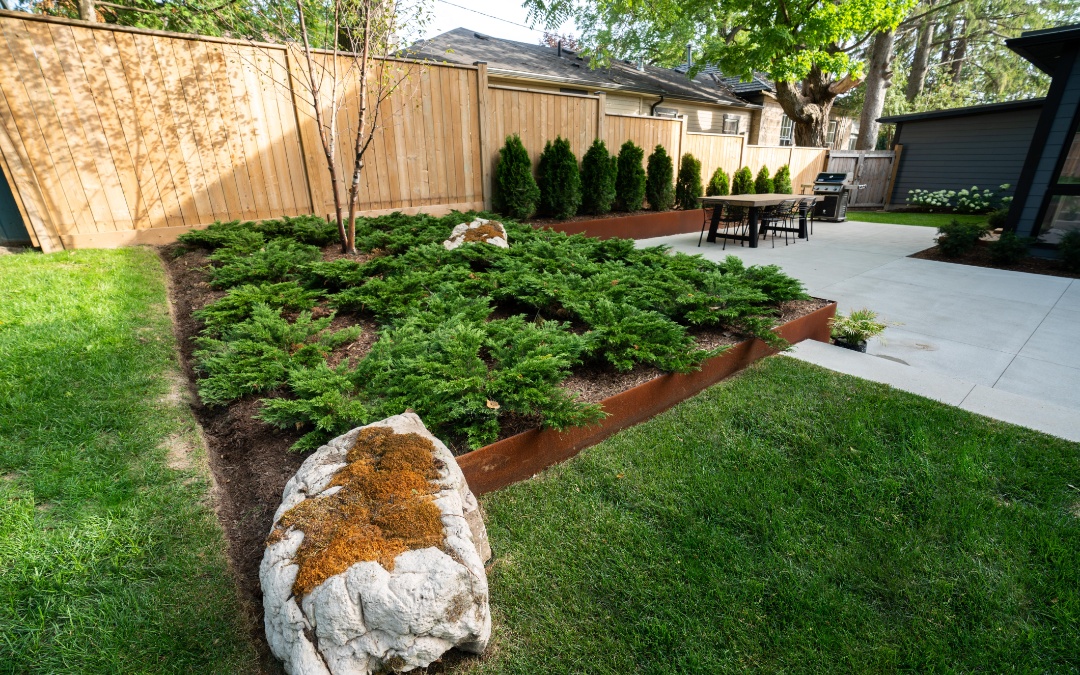 Corten