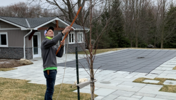Enhance Your Space Dormant Pruning