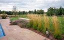 60425eaff530816485c80bc5 Landscape Wall Planting